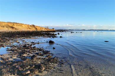 Ferienwohnung Niendorf Ostsee