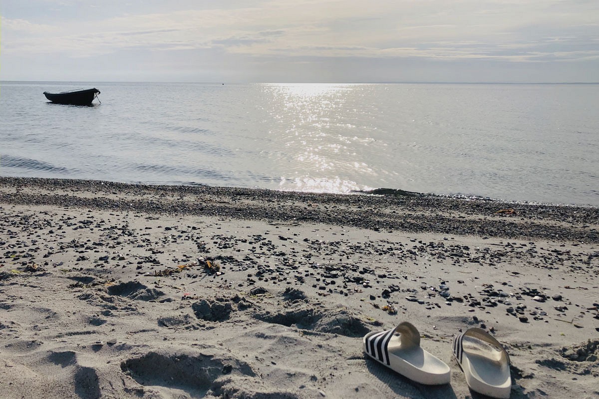 Ferienwohnung 'Forscher Dorsch'