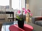Ferienwohnung Abendsonne