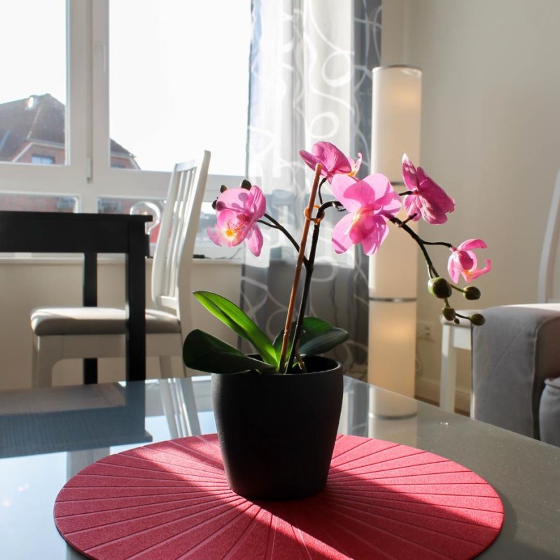 Ferienwohnung Abendsonne