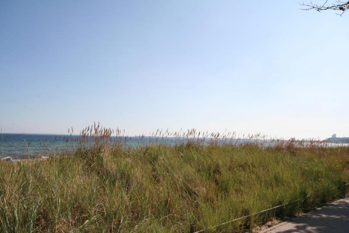Ferienwohnung Möwennest Haffkrug - Düne und Strand am Haus
