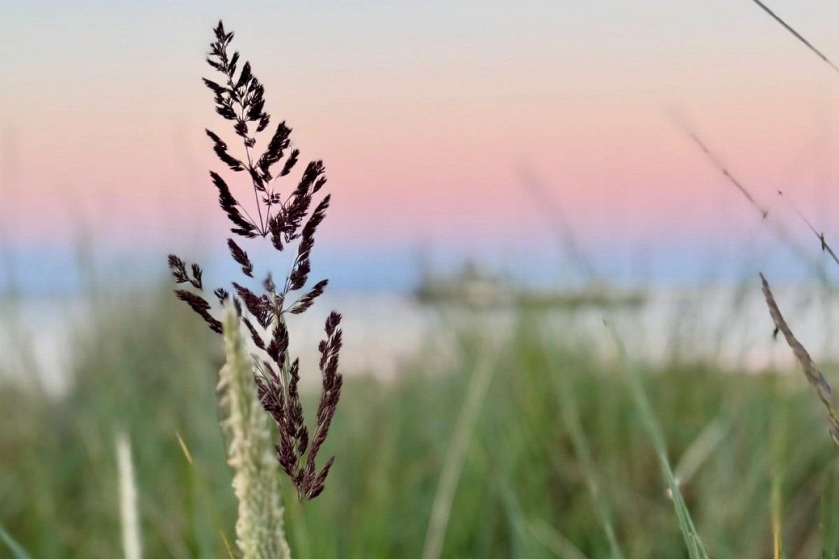 Ferienwohnung Ocean House