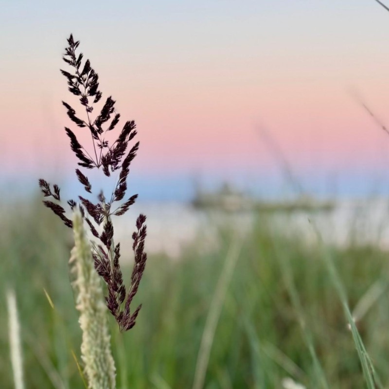 Ferienwohnung Ocean House