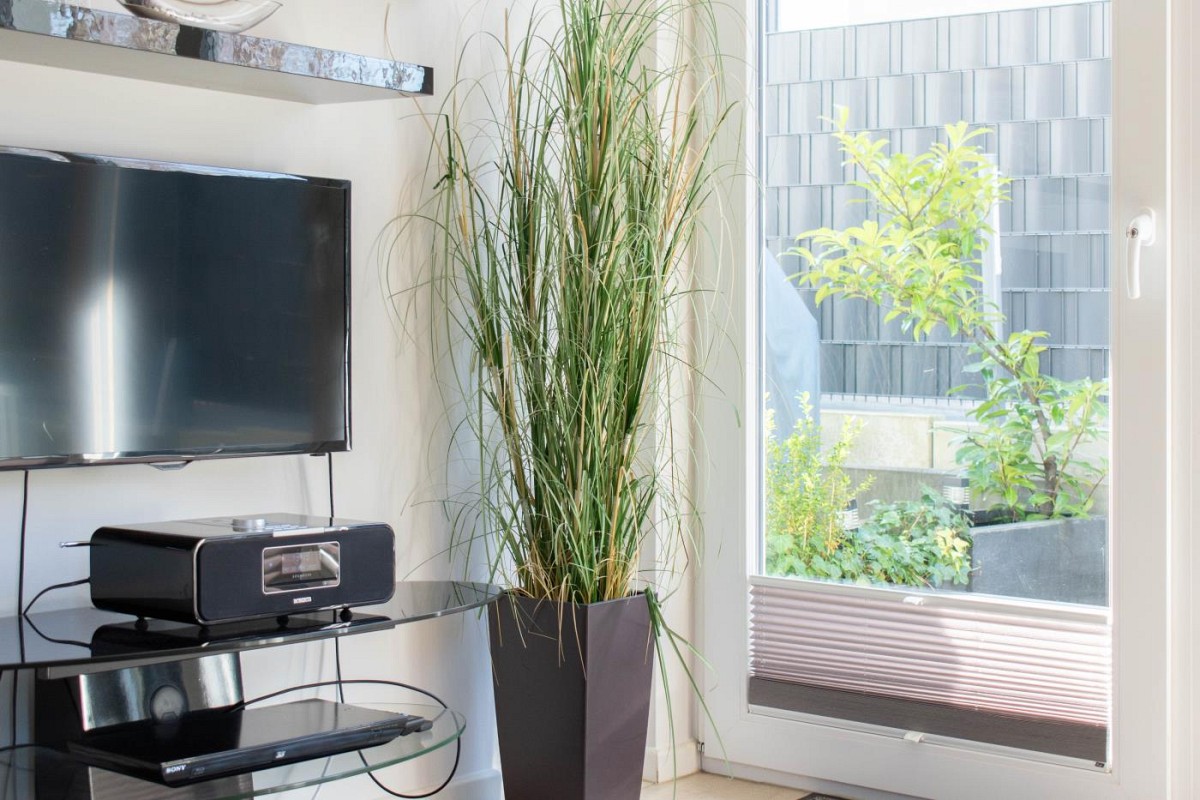 Ferienwohnung Strandmuschel