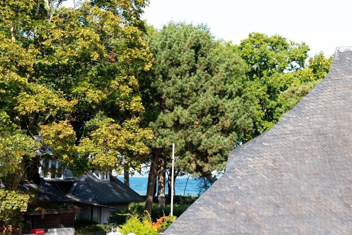 Ferienwohnung Godewind