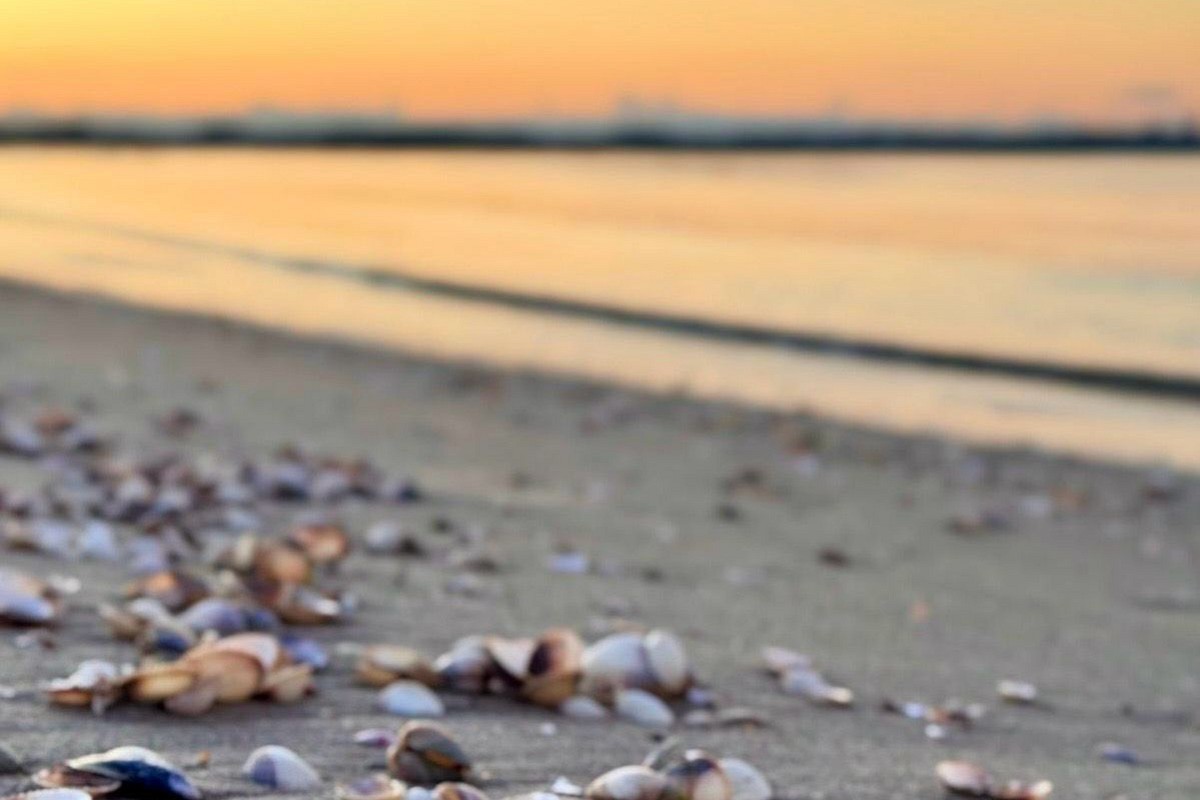 Ferienwohnung Schlummerdüne