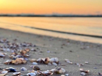 Ferienwohnung Schlummerdüne