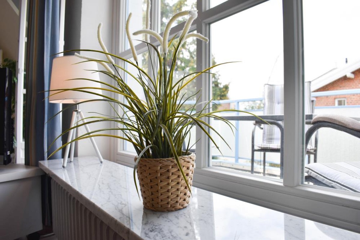 Ferienwohnung Ocean Drive 2