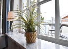 Ferienwohnung Ocean Drive 2