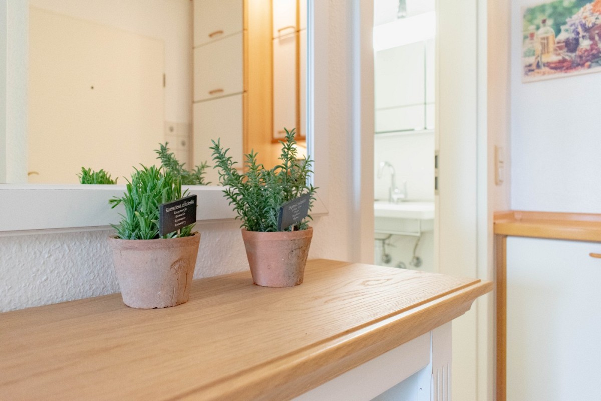 Ferienwohnung Seesternresidenz App.12