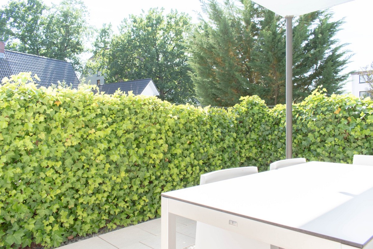 Ferienwohnung Frische Brise
