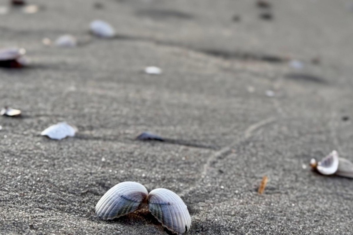 Ferienwohnung Ocean House