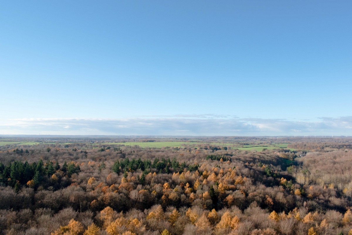 Ferienwohnung Residenz App. 373