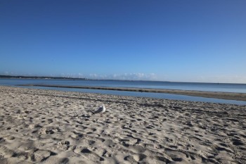 Ferienwohnung Residenz am Redderkrog 