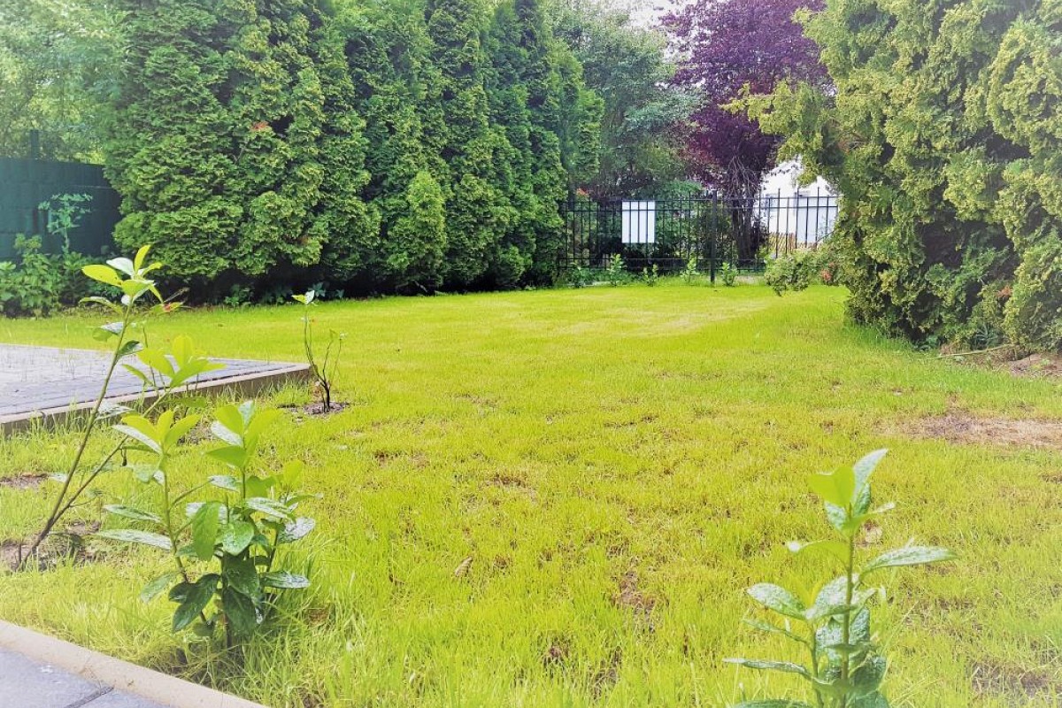Ferienhaus 'Ellie'