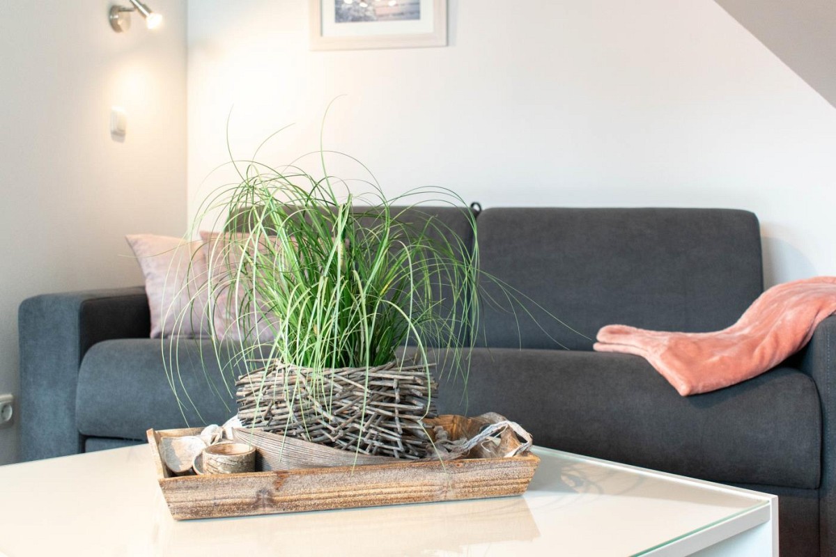 Ferienwohnung Sommerwind
