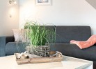 Ferienwohnung Sommerwind
