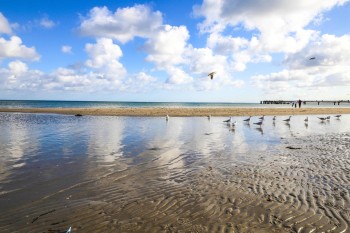 Ferienwohnung Reede 54