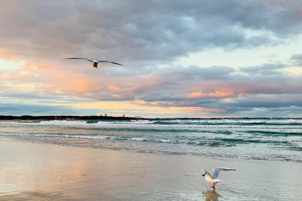 Ferienwohnung Leesegel