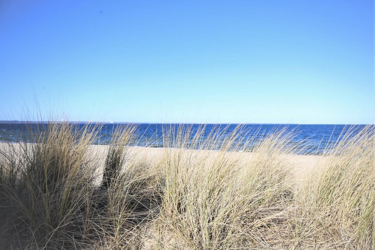 Ferienhaus HAFF COAST