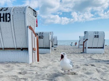 Ferienwohnung Strandstern