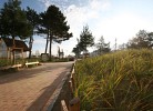 Ferienhaus SOUTH COAST