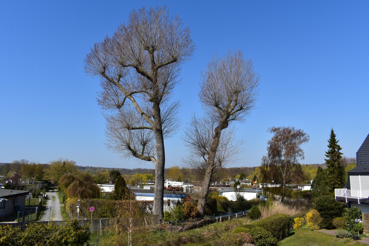 Ferienwohnung Schlummerdüne