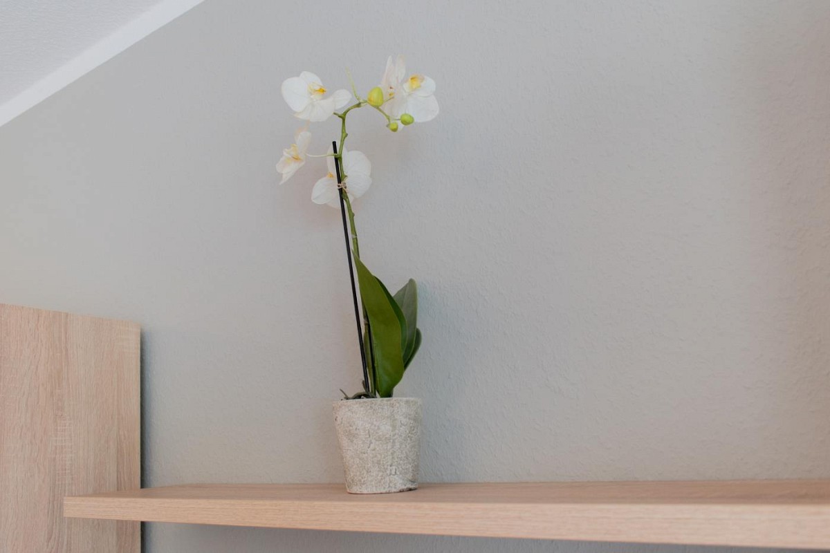 Ferienwohnung Gorch Fock Park Appartement 19