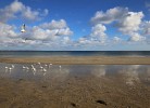 Ferienwohnung Strandvilla Augustusbad 17