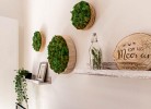 Ferienwohnung Nordic Nature Loft 