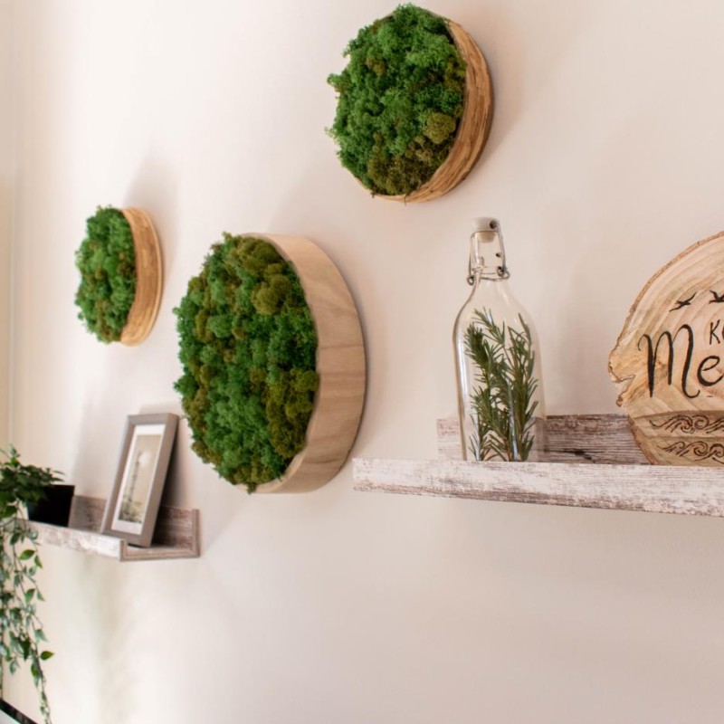 Ferienwohnung Nordic Nature Loft 