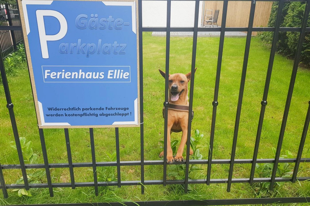 Ferienhaus 'Ellie'