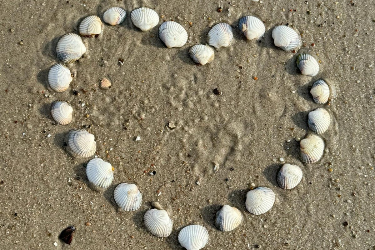 Ferienwohnung Leesegel