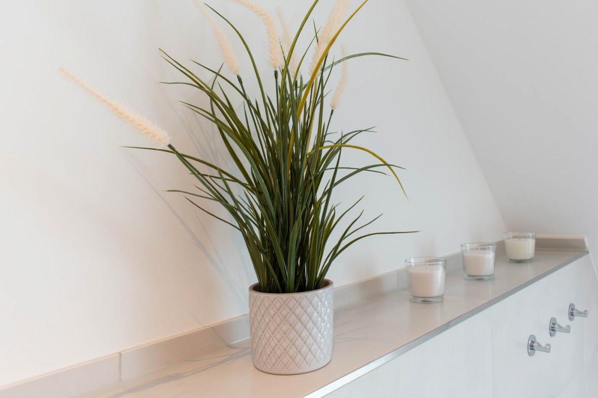 Ferienwohnung Bude 37 Whg 7