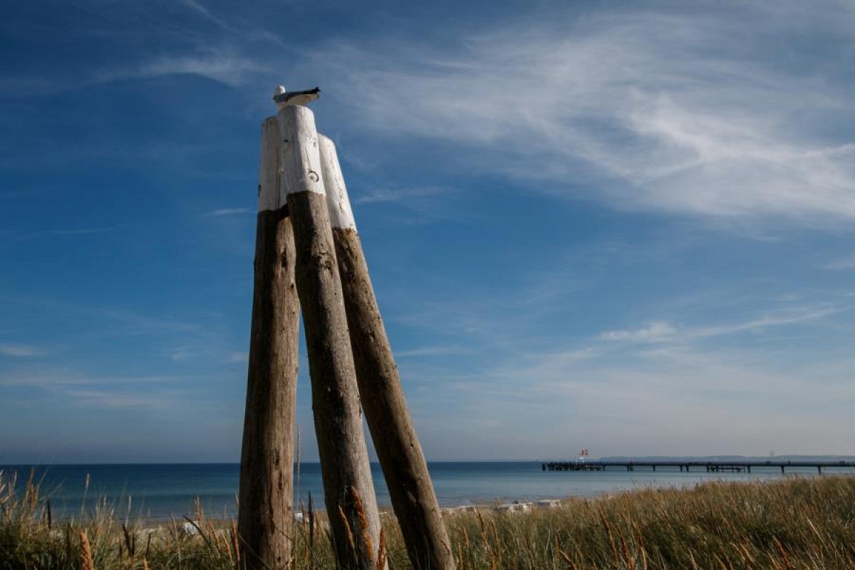 Ferienwohnung Strandhaus Möwenberg App.12